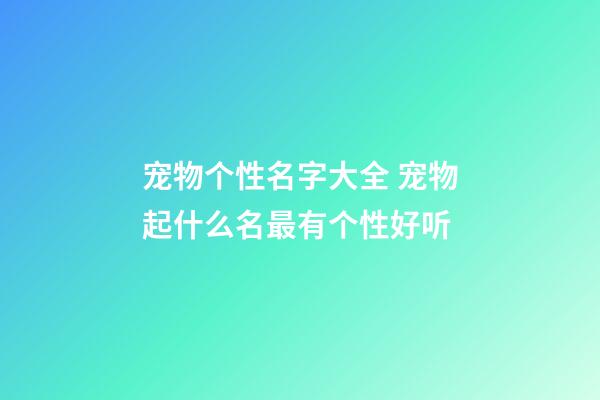 宠物个性名字大全 宠物起什么名最有个性好听